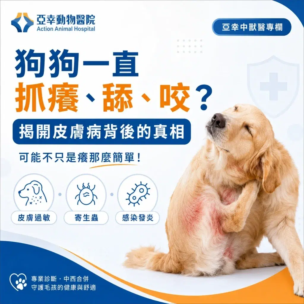 狗狗一直抓癢舔咬