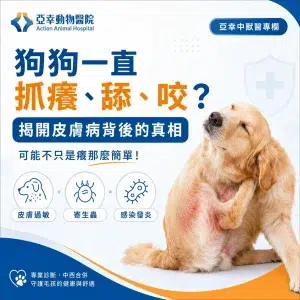 狗狗一直抓癢舔咬