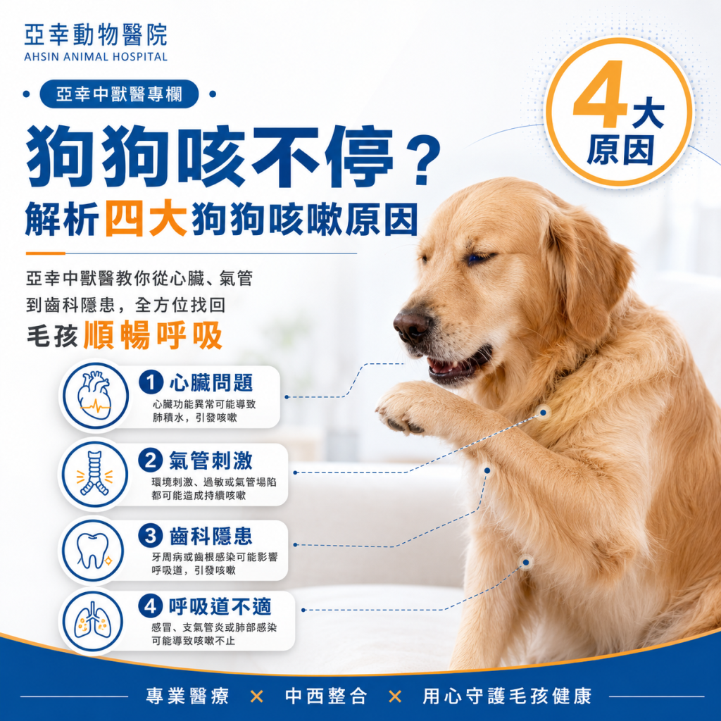 狗狗咳不停