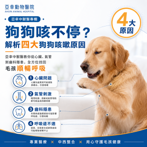 狗狗咳不停