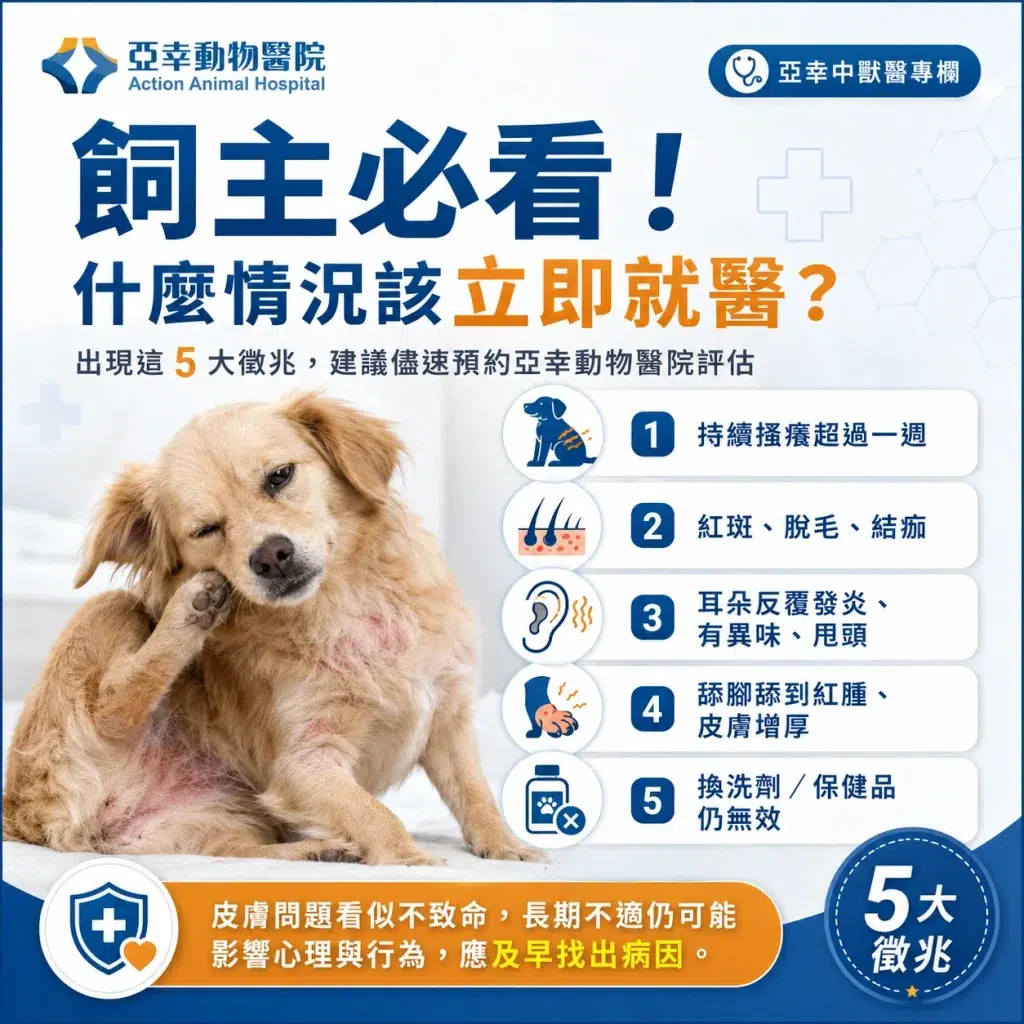 【狗狗一直抓癢、舔、咬?】亞幸動物醫院:揭開皮膚病背後的真相,可能不只是癢那麼簡單! 2 飼主必看 什麼情況該立即就醫