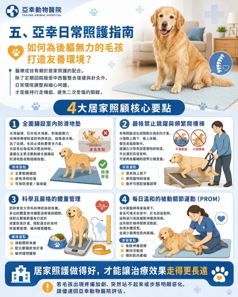狗狗後腿無力、走路會抖怎麼辦?亞幸中獸醫解析關節退化與狗狗椎間盤突出,用寵物針灸與四級雷射助毛孩重新站起 3 狗狗後腿無力2