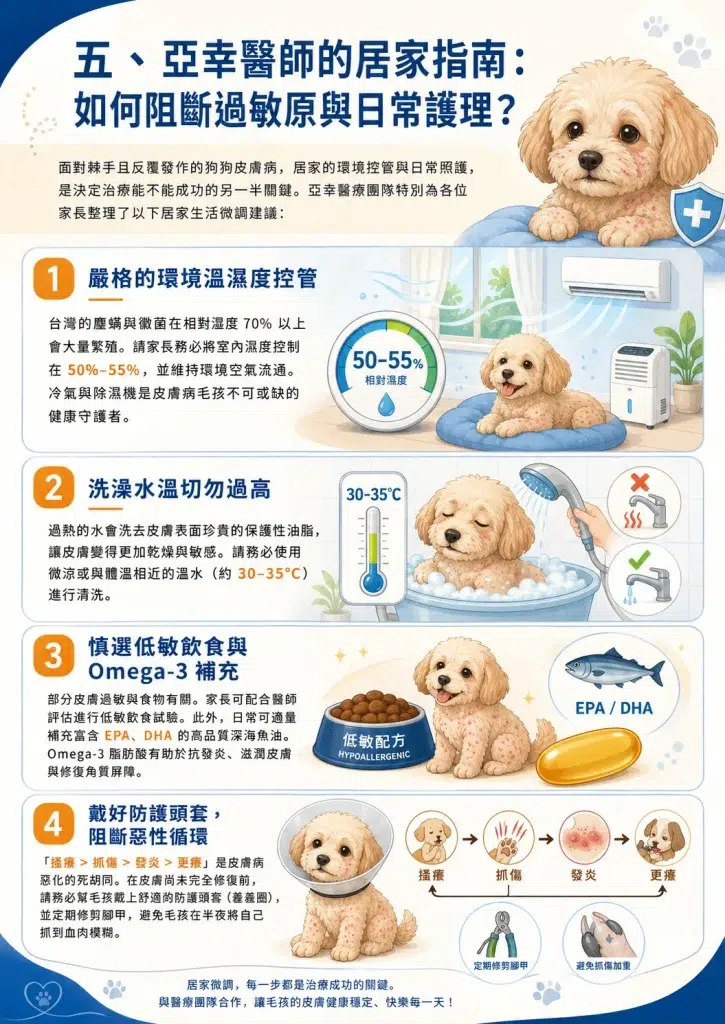 狗狗皮膚抓到流血?中獸醫解析「犬異位性皮膚炎與慢性濕疹」,用漢方調理與中西醫整合斷絕毛孩發癢地獄 3 亞幸醫師的居家過敏護理指南