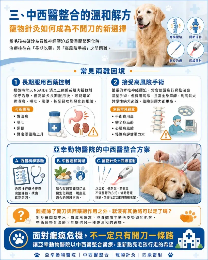 狗狗後腿無力、走路會抖怎麼辦?亞幸中獸醫解析關節退化與狗狗椎間盤突出,用寵物針灸與四級雷射助毛孩重新站起 2 寵物針灸與中西醫整合方案