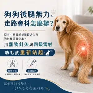 狗狗後腿無力