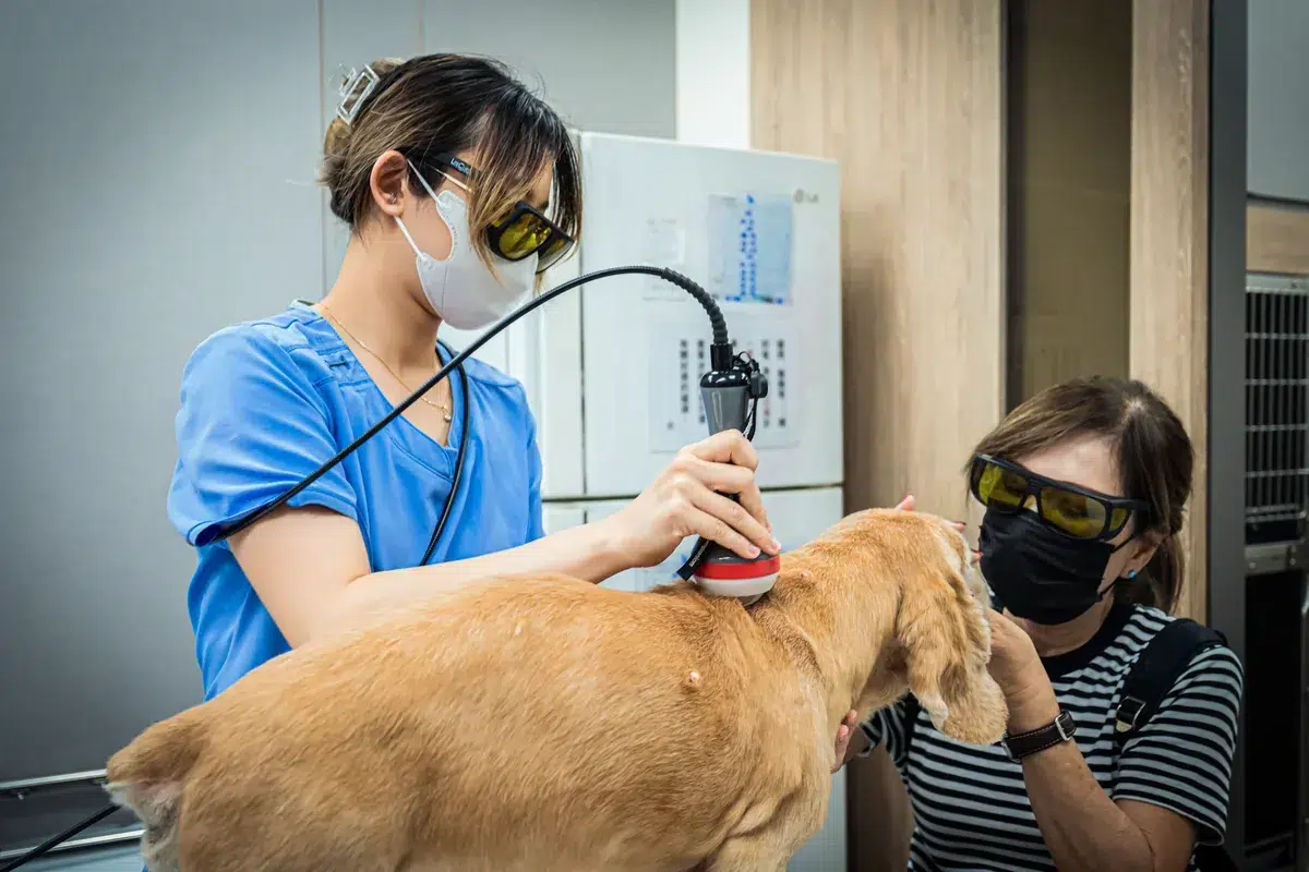 ACTION CANINE LASER CARE 1