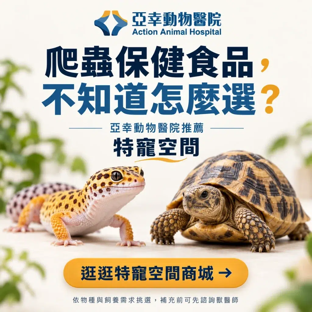 亞幸動物醫院推薦特寵空間爬蟲保健食品。爬蟲保健食品怎麼選？前往特寵空間商城了解產品。